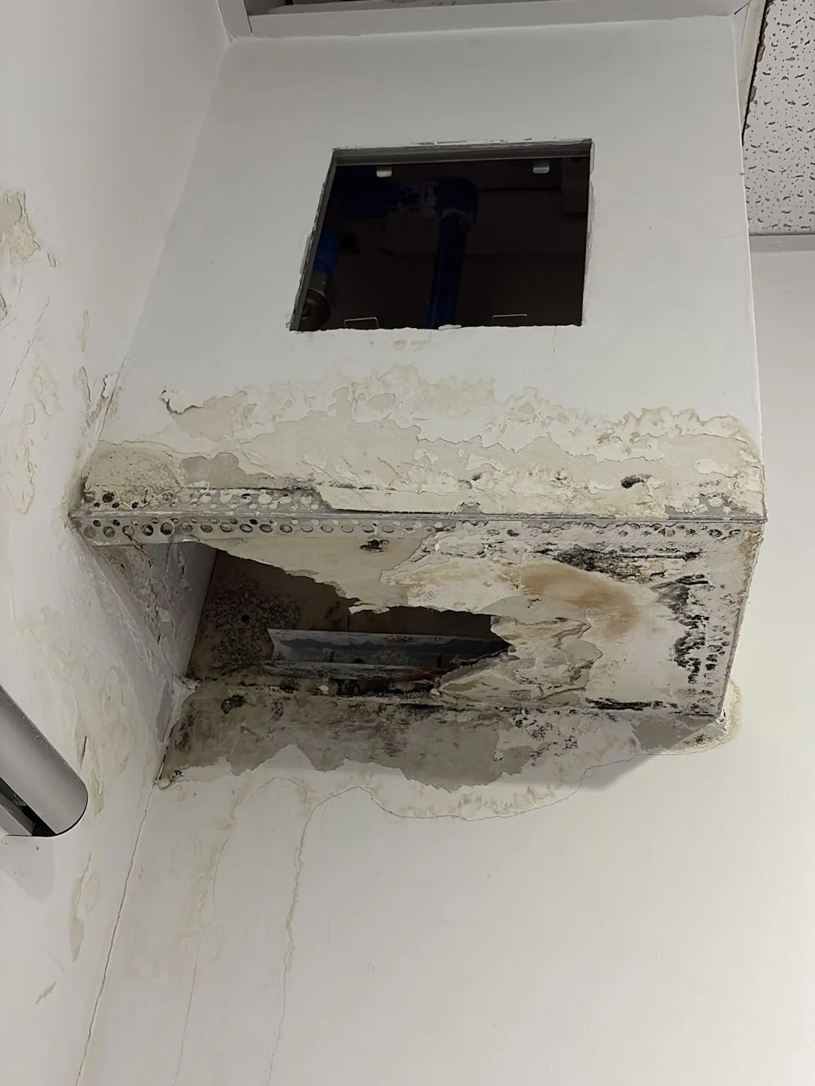 Vorher: Deckenverkleidung mit Wasserflecken, Schimmel und abgeplatzter Farbe